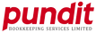 pundit logo.png
