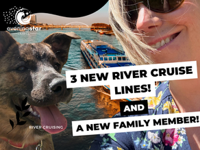New Ships on the Horizon: River Cruising Is Getting a Glow-Up