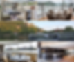 Untitled design (22).png