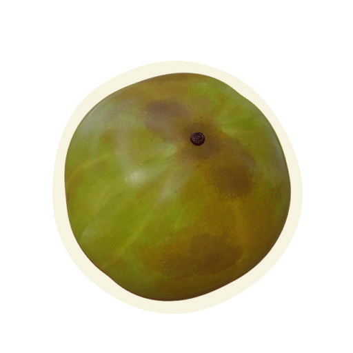 Amla2.gif