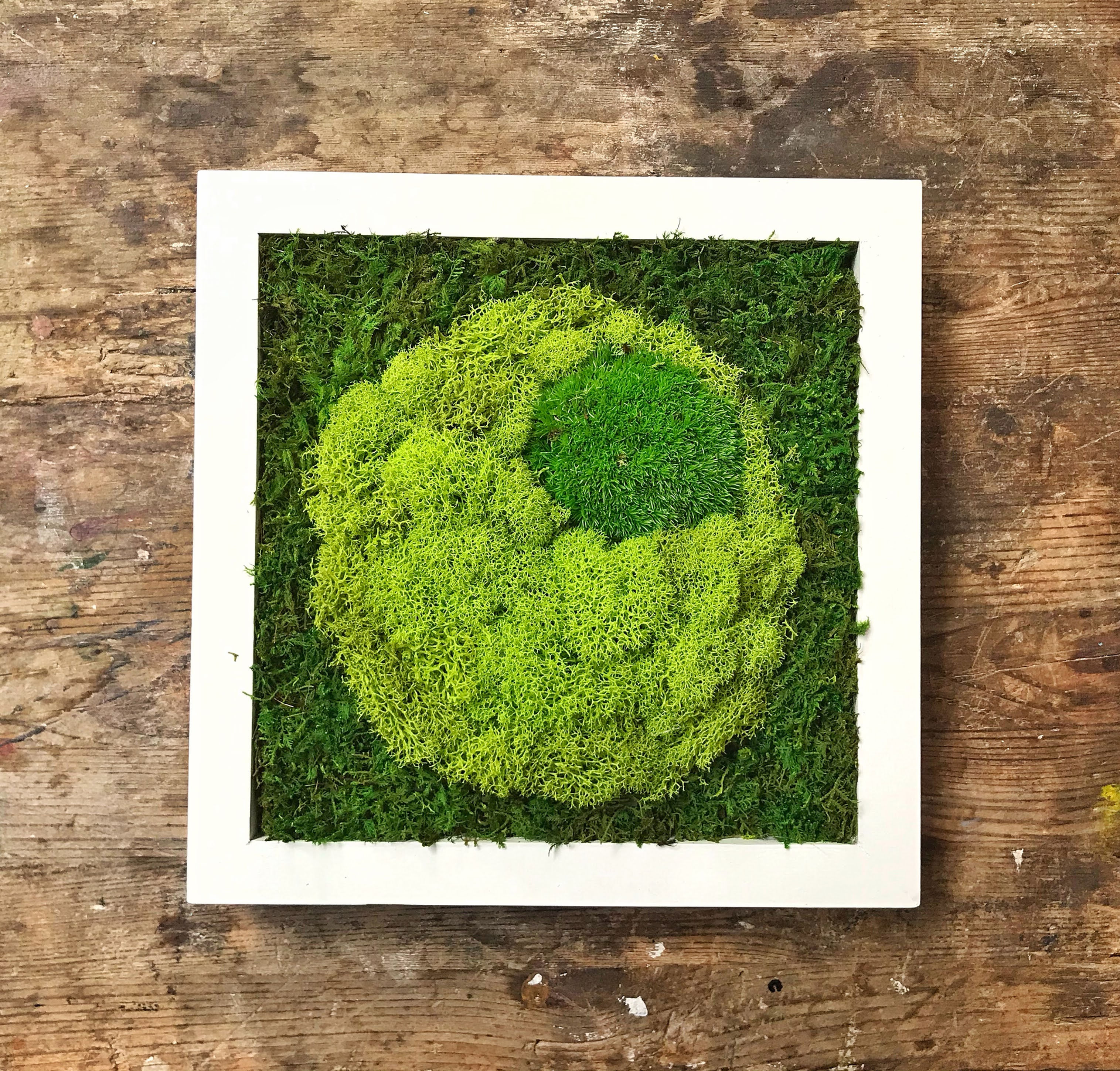 Moss Art 3