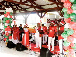 Arbre de Noel de Remire Montjoly