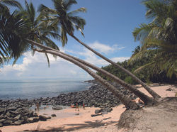 Iles du saluts en Guyane
