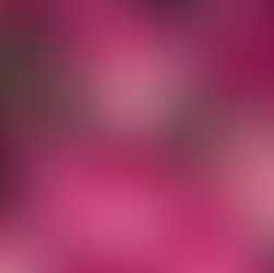 Abrirse y Compartir- Comunidad de Budismo Zen One Drop México.
