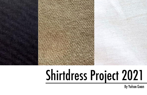 Shirtdress project Into design 2021 .jpg