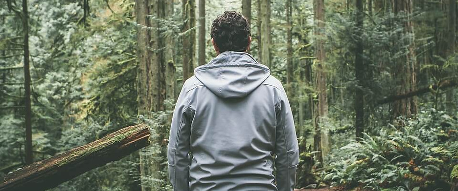 Man-Woods-Nature-Trees-Path-Outdoors-For
