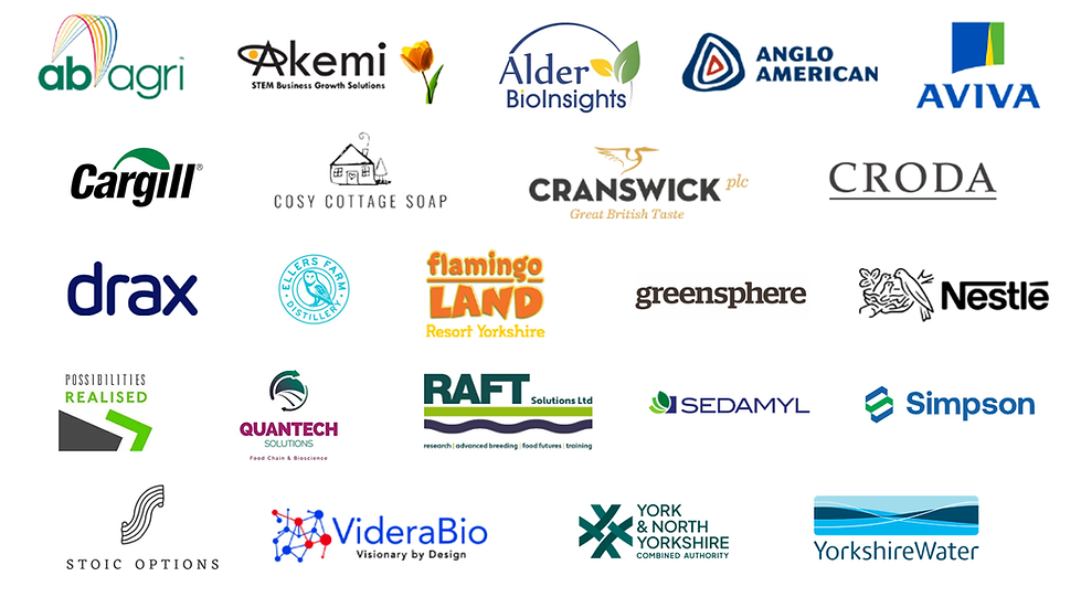 Logos of BIAG2.png