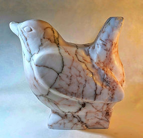 1000022290 (1) (1).jpg