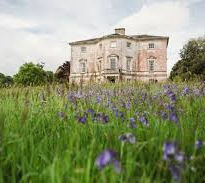 Sharpham Yoga Retreat, Totnes Devon │ Joy Yoga and Wellness
