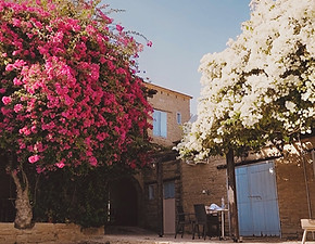 Greece Retreat-Cyprus with Joy Yoga and Wellness 19-23 June 2027.jpg