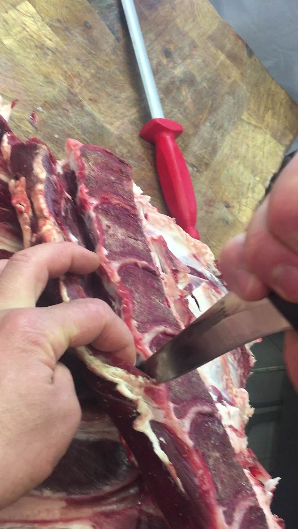 Küçük resim: Uluçam Kemik Sıyırma Bıçağı