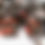 Thumbnail: Draggin Master Black Armor Premier Leader Line
