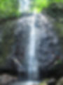 Waterfall at Campanario Biological Station.jpg