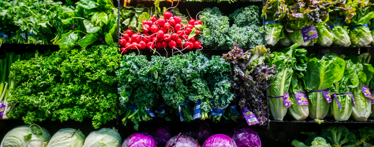 Arranged Food and Objects