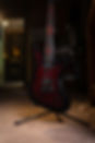 DSCF6252.jpg
