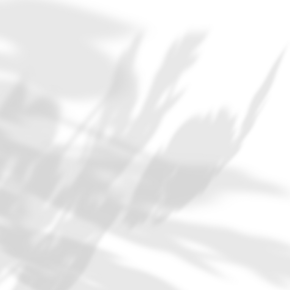 Elevate her vision (2).png