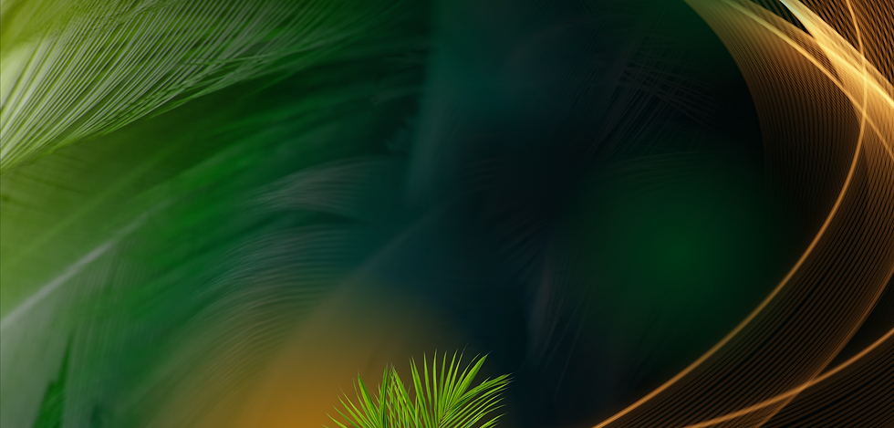 POSITIONED2LAUNCH WEBSITE (1540 × 670 px) (9).png