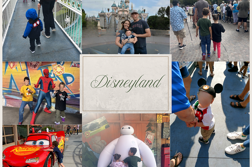 Disneyland with a Neurodivergent Kid