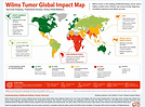 2.3b-wilms-tumor-global-impact-map.png