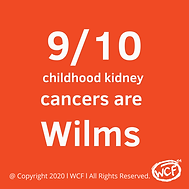 Wilms Tumor, Nephroblastoma Cancer Information, Research, Statistics & Support