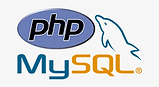 269-2693096_fix-php-bugs-php-errors-and-mysql-bugs.png