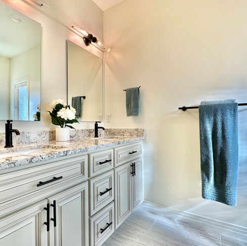 David and Cibeles Upgraded bathroom vanity and sink