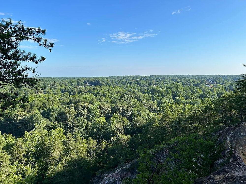 Exploring the Best Hiking Trails Near Chapel Hill, NC