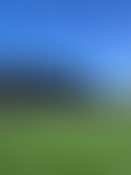 Cosmos fall 1-3 to Spokane Velocity