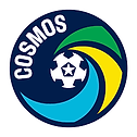 Writer: New York Cosmos