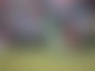 Cosmos Drop Another 2-1 Heartbreaker, this Time to Sarasota Paradise