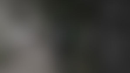 Postshot export script