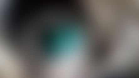 Camera sensors and their effect on matchmoving