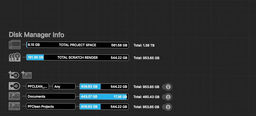Image of the PFClean UI showing the Disk Manager Info