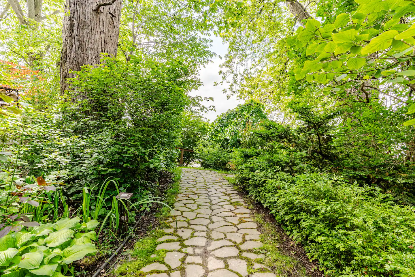 way to the small lake house