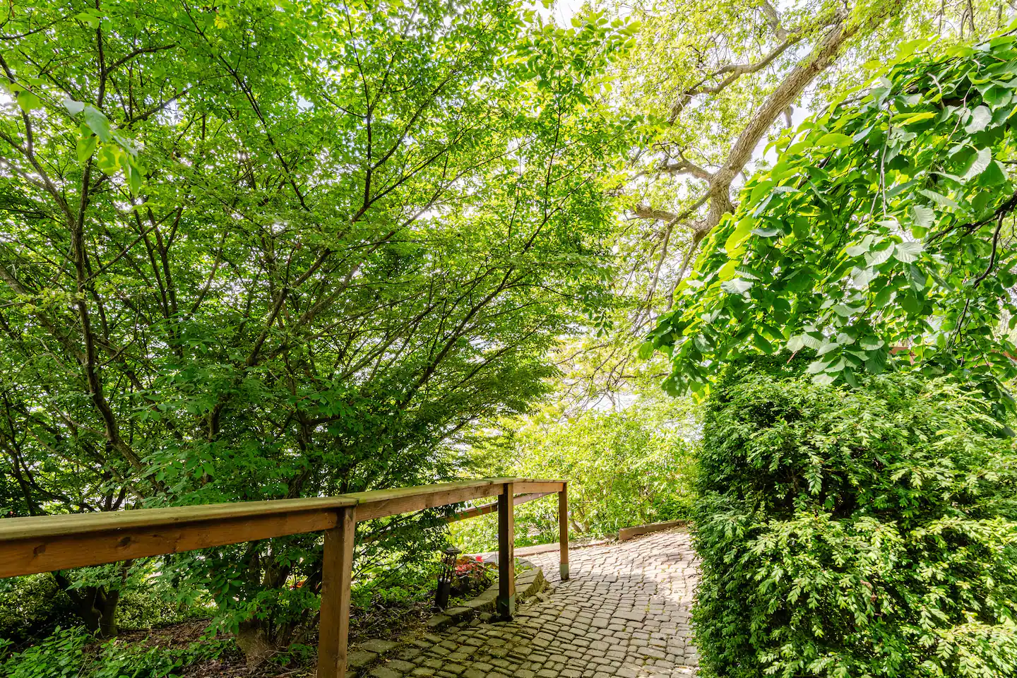 zigzag way to the lake house