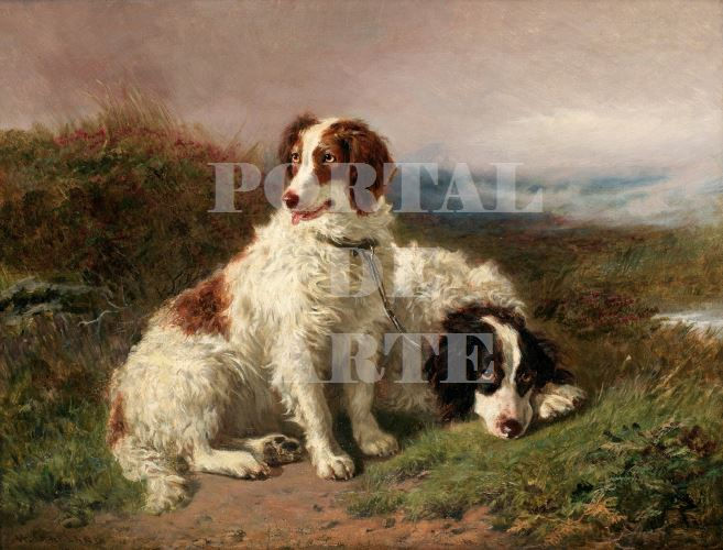 Miniatura: Henry Garland,Dois Cachorros,cachorro,quadro,poster,gravura,reprodução,canvas,replica,foto,tela,comprar,cópia,fine art,giclée