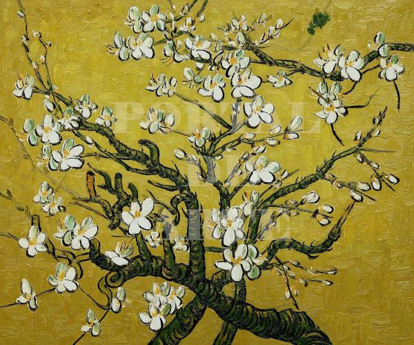 Miniatura: van gogh,Ramos de uma amendoeira em flor amarela,Branches of an Almond Tree in Blossom yellow,poster,gravura,canvas,comprar