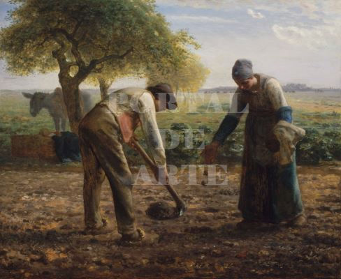 Miniatura: Jean-François Millet,Plantadores de Batata,quadro,poster,replica,canvas,reprodução,gravura,tela,comprar,copia,pintura,obra
