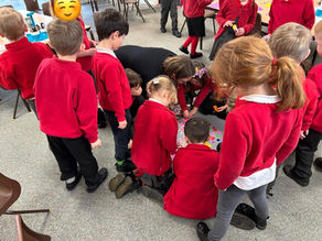 No Outsiders - Elmer! 