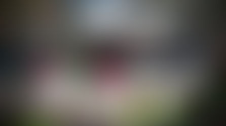 אשליית ה"חזרה" – למה קשה לחזור לשגרה?