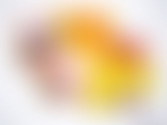 התפקיד האמיתי של פידג'ט טויס