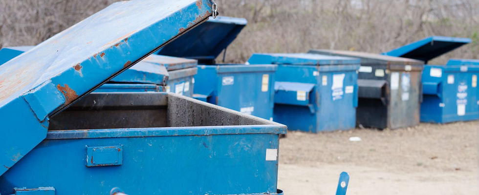 Blue Dumpster Rentals Lining Up