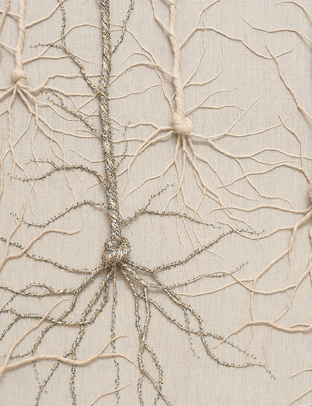 CICLOTRAMA 373 (Bosque Neural) DET.jpg