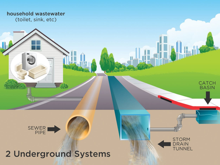 Flushing the Toilet: The "How" Behind Sewage Systems