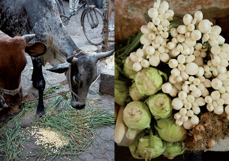 India-aweb.gif