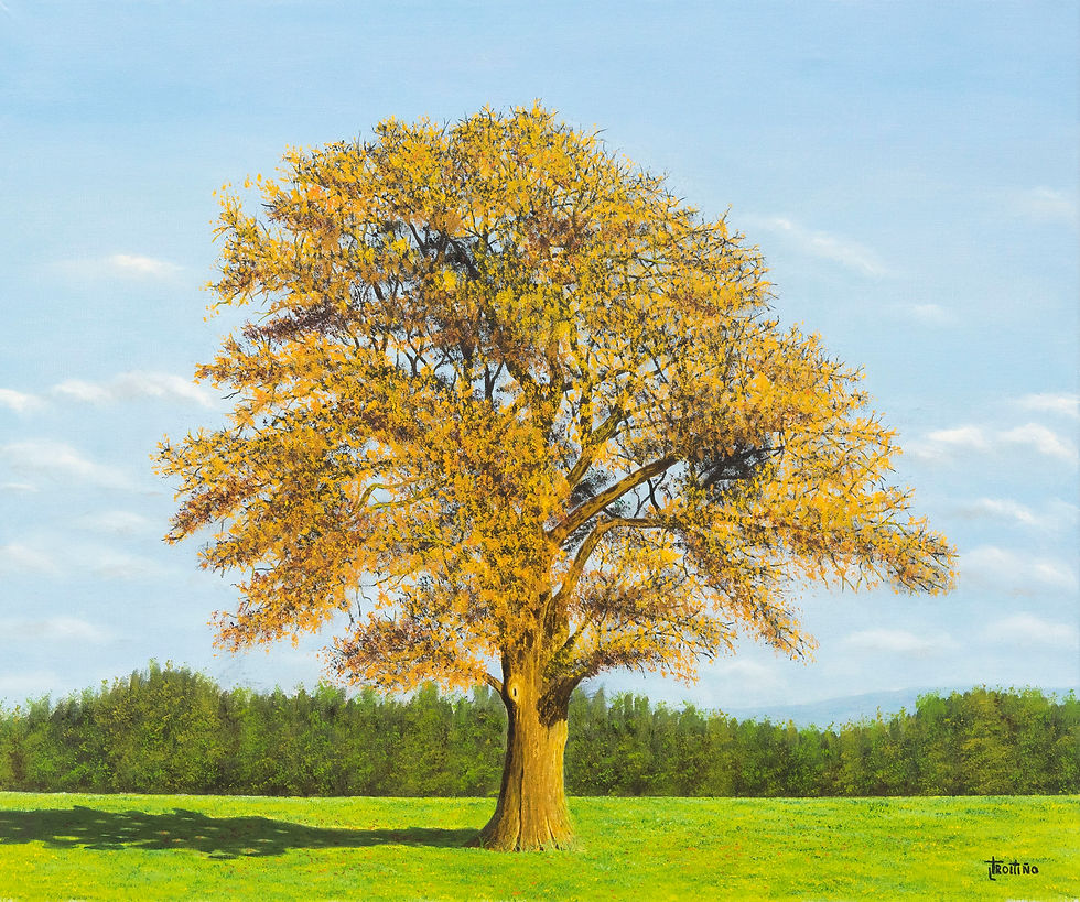 Thumbnail: "CASTAÑO EN OTOÑO".