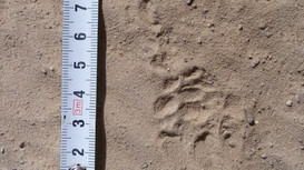 רק את מה שאני מכיר אני יכול לראות