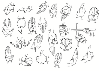 Hand Chart.png