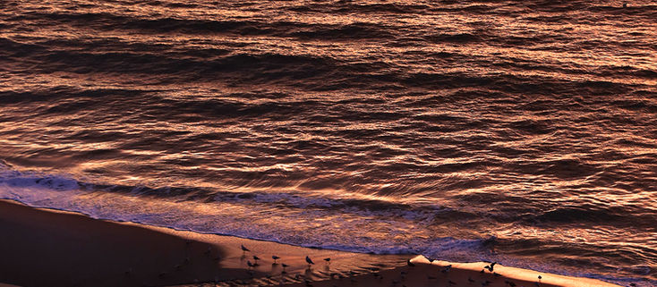 The Light in Myrtle Beach