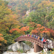 pakej percutian korea, pakej pelancongan korea, pakej korea 2025